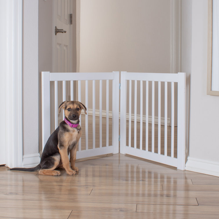 Primetime Petz Free Standing Pet Gate Wayfair